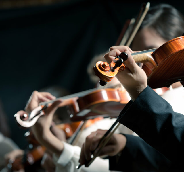 Symphony orchestra